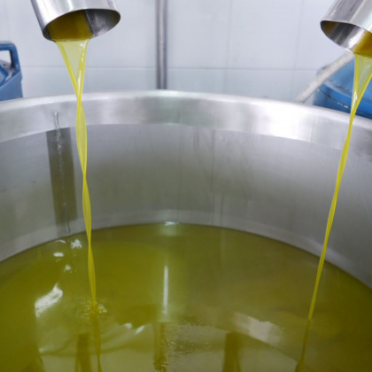 Degustazione olio extra vergine d’oliva pugliese